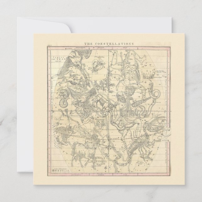 The Constellations (July, August, September) Invitation (Front)