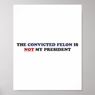 The Convicted Felon Is Not My President Funny Poli Poster