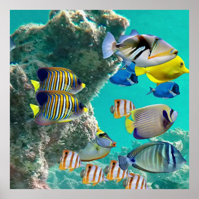 The Coral Reef with Tropical Fish Poster (Front)