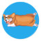 The Corgi Sploot