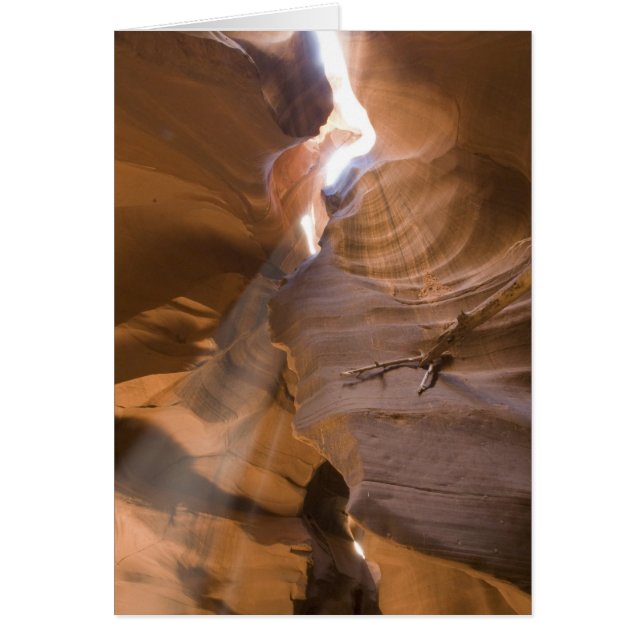 The Corkscrew in Upper Antelope Canyon, Navajo (Front)