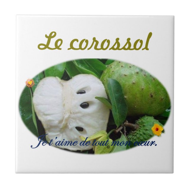 The corossol tile (Front)