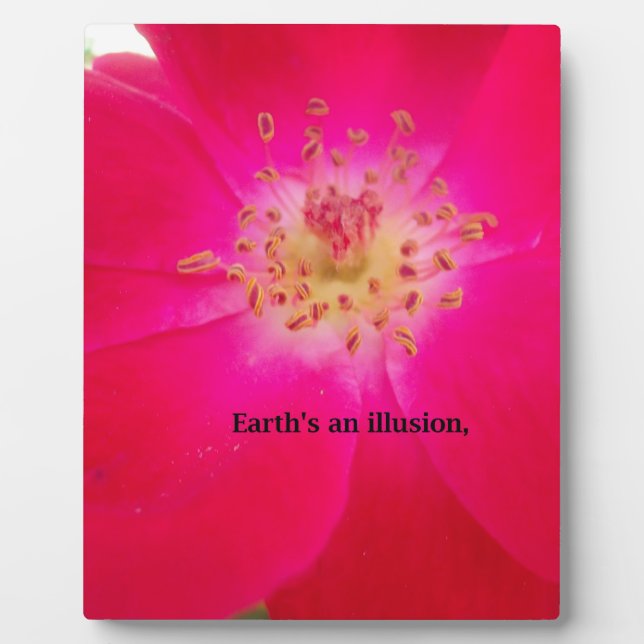 The Cosmic Rose: Nature's Deception Design Plaque (Front)