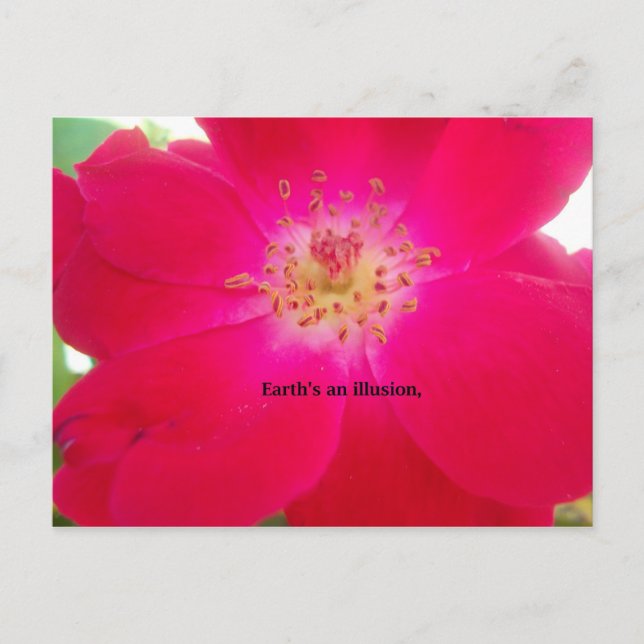 The Cosmic Rose: Nature's Deception Design Postcard (Front)