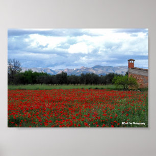 The Country Barn in the Poppy Field Poster
