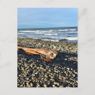 The Cove at Seaside, Oregon Postcard