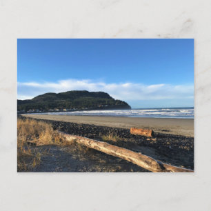The Cove at Seaside, Oregon Postcard