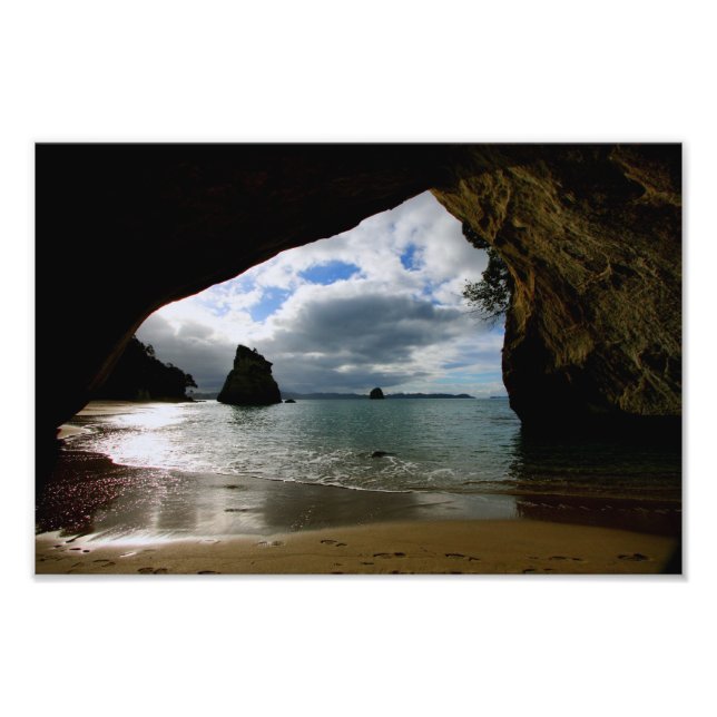 The Cove Photo Print (Front)