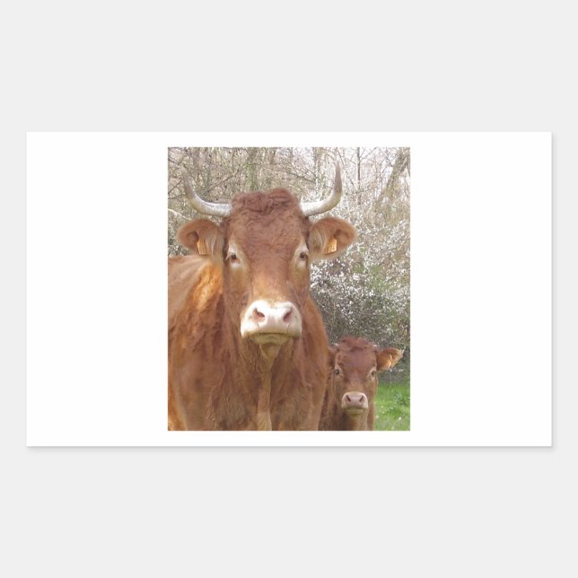 The cow and his calf - The cow and its calf Sticker (Front)