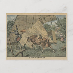 The cow and the airplane postcard