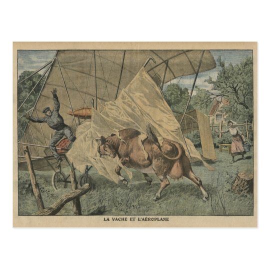 The cow and the airplane postcard