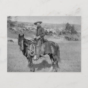 The Cowboy Postcard