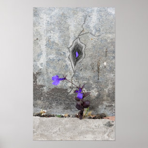 The crack in the wall poster