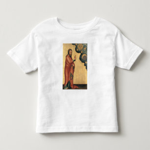 The Creation of the Sun, Moon and stars Toddler T-shirt