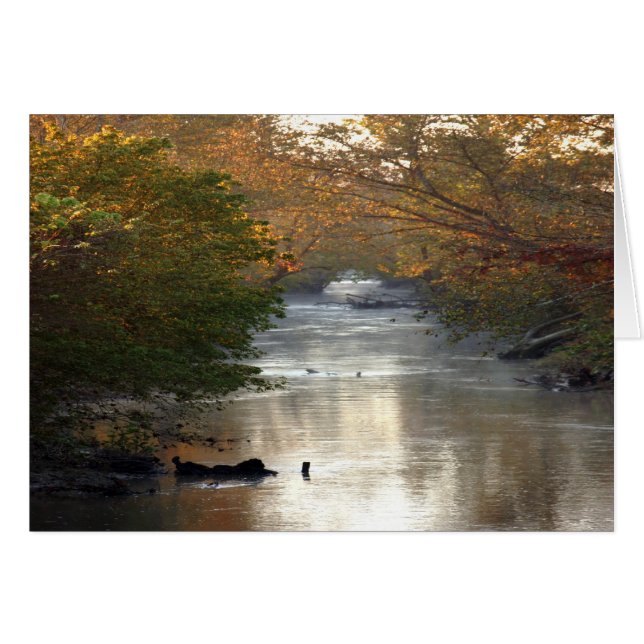 The Creek (Front Horizontal)