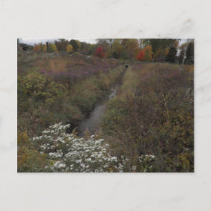 The Creek Postcard