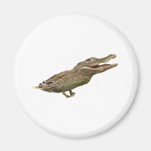 The Crocoduck Magnet