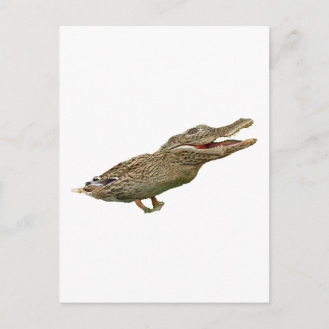 The Crocoduck Postcard (Front)
