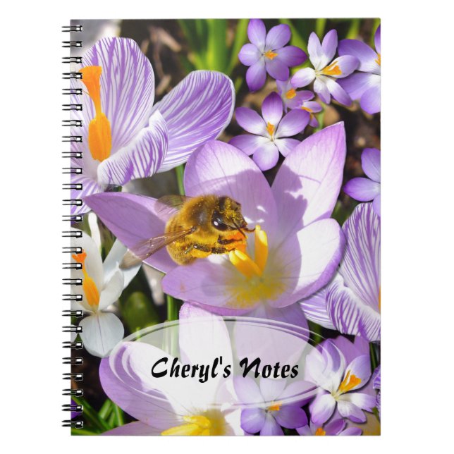 The Crocus Taster Notebook (Front)