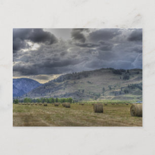 The Crop is in. Post Card from Midway B.C.