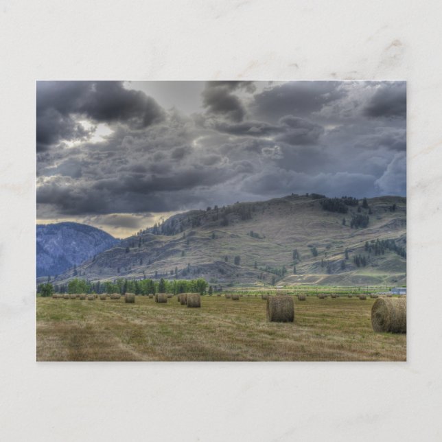 The Crop is in. Post Card from Midway B.C. (Front)