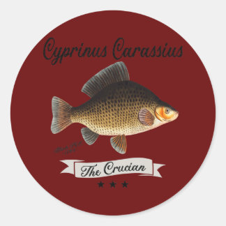 The Crucian Carp Fish Vintage Fish Species  Classic Round Sticker