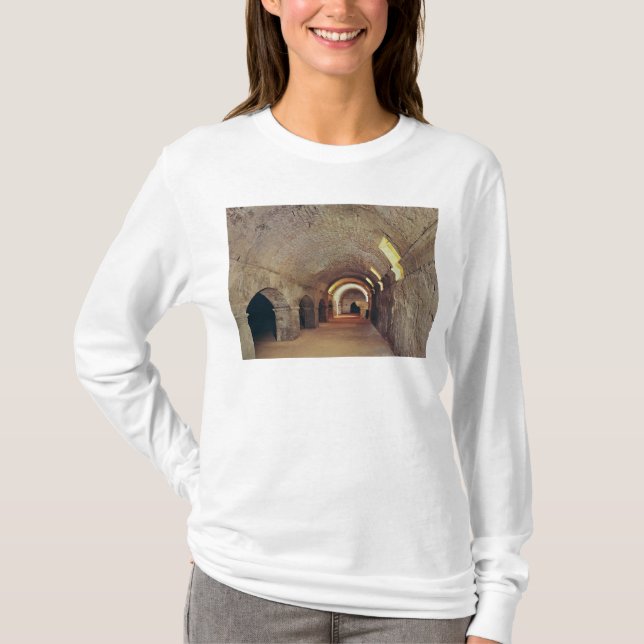 The crypto-porticus T-Shirt (Front)