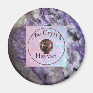 The Crystal Hayvan Magnet with Charoite Image