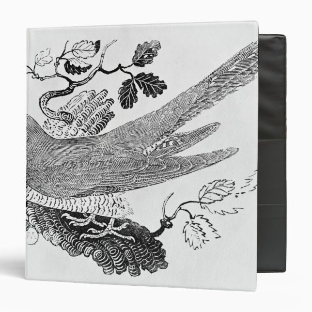 The Cuckoo Binder (Front/Inside)