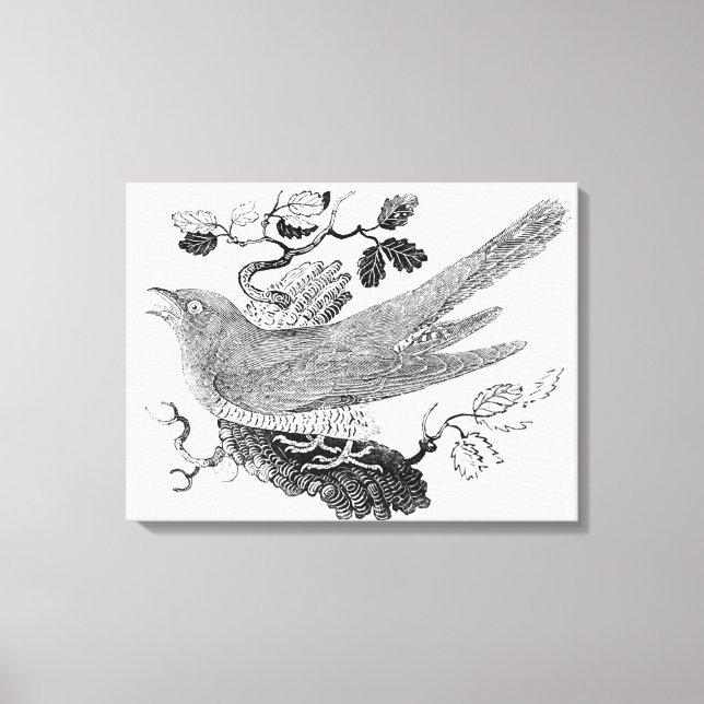 The Cuckoo Canvas Print (Front)