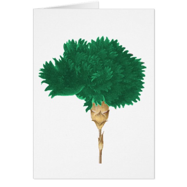 The Cult of Wilde (Front)