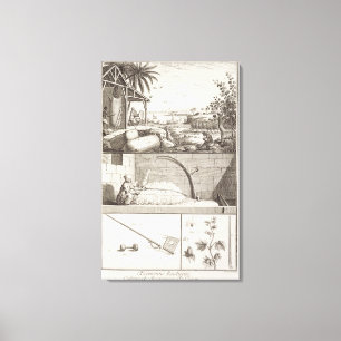 The cultivation of cotton, from the 'Encyclopedia' Canvas Print