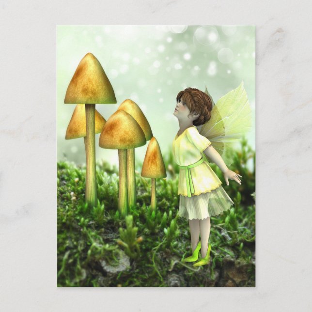 The Curious Fairy - Fairy and Toadstools Postcard (Front)