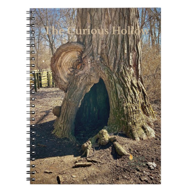 The Curious Hollow  Notebook (Front)