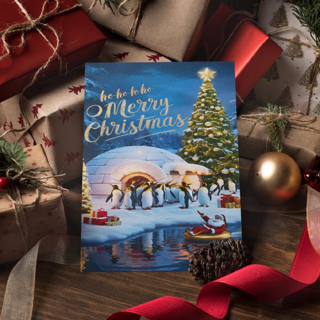 The curious penguins  postcard (Creator Uploaded)