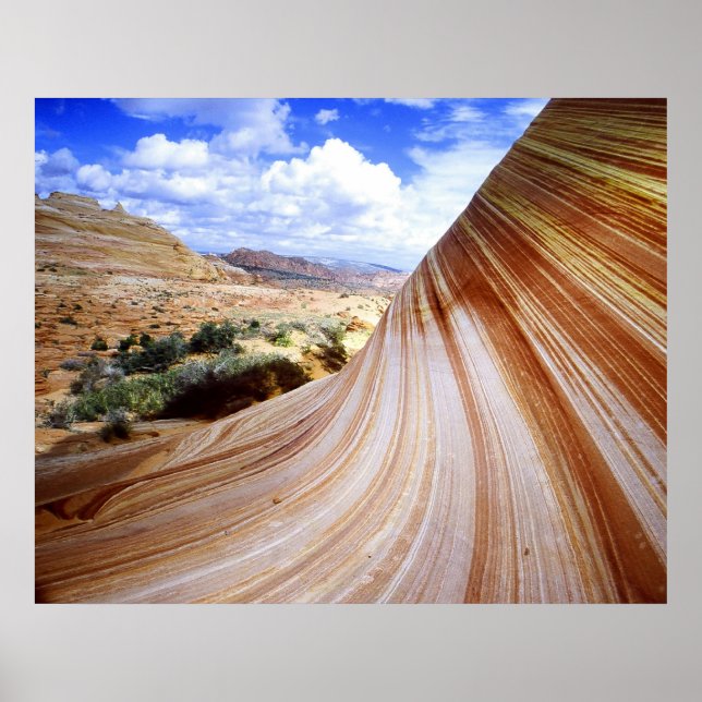 The Curve Poster (Front)