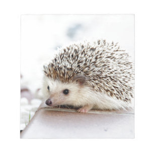 The Cute Baby Hedgehog Notepad