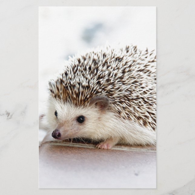 The Cute Baby Hedgehog Stationery (Front)