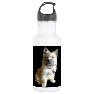 The Cutest Cairn Terrier Ever!  Cuter than Toto! 532 Ml Water Bottle