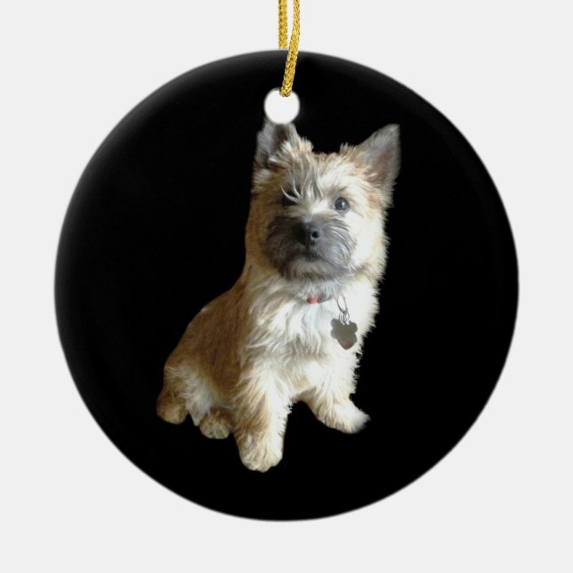 The Cutest Cairn Terrier Ever!  Cuter than Toto! Ceramic Ornament (Front)