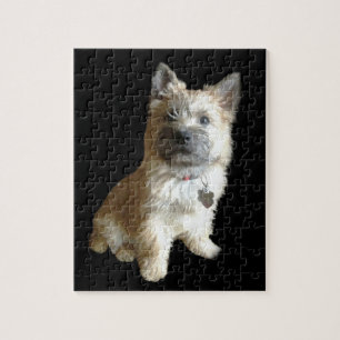 The Cutest Cairn Terrier Ever!  Cuter than Toto! Jigsaw Puzzle