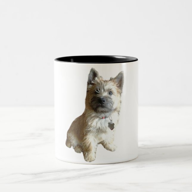 The Cutest Cairn Terrier Ever!  Cuter than Toto! Two-Tone Coffee Mug (Center)