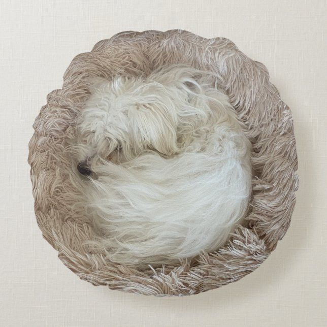 The Cutest Maltese Puppy Dog Ever Round Pillow (Front)