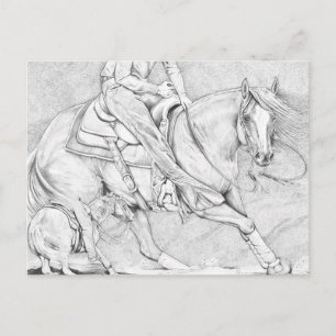The Cutter Postcard
