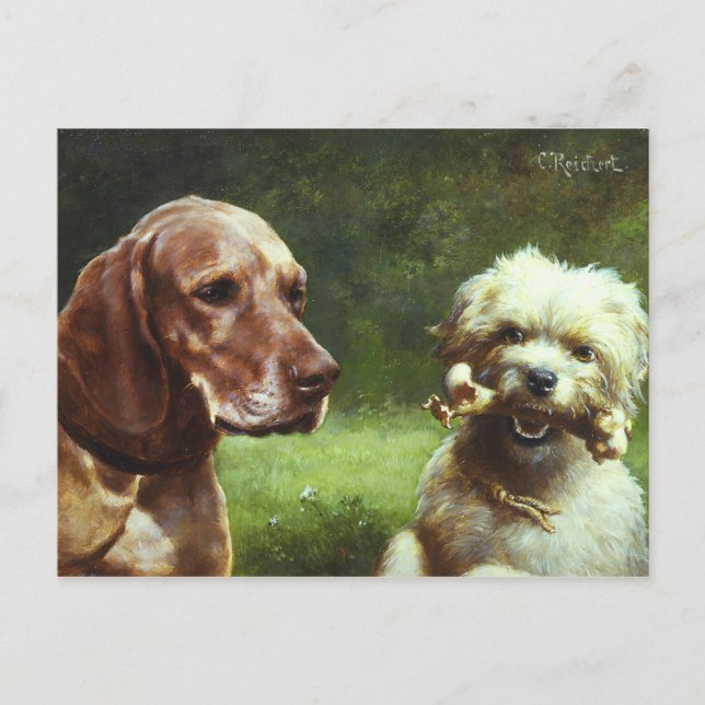 The Cynic & the Philosopher Postcard (Front)