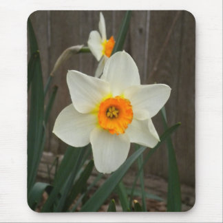 The Daffodil Mouse Pad