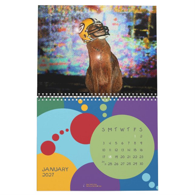 The Daily Abyssinian 2013 Calendar (Jan 2027)