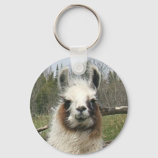 THE DAILY LLAMA KEYCHAIN (Front)