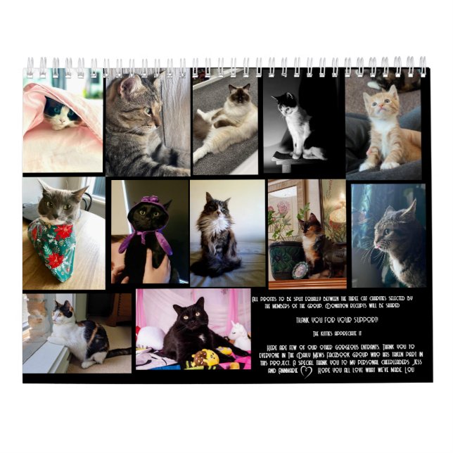The Daily Mews, Cat Charity Calendar 2025 (Back)