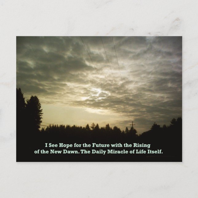 The Daily Miracle postcard (Front)